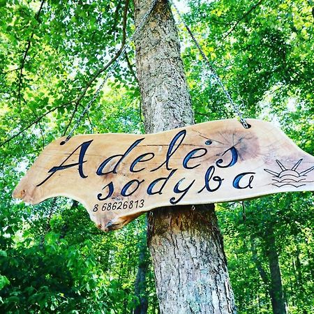 Adeles Sodyba Sturmai Esterno foto